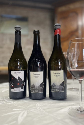 Domaine Pignier vin (1)