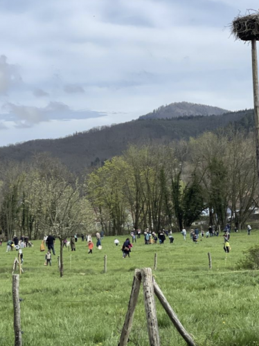 Maison du Fromage chasse aux oeufs