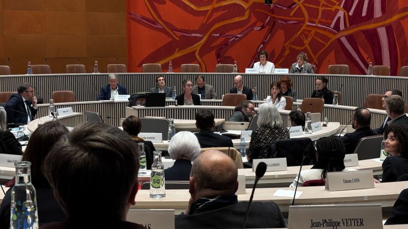 conseil municipal hémicycle
