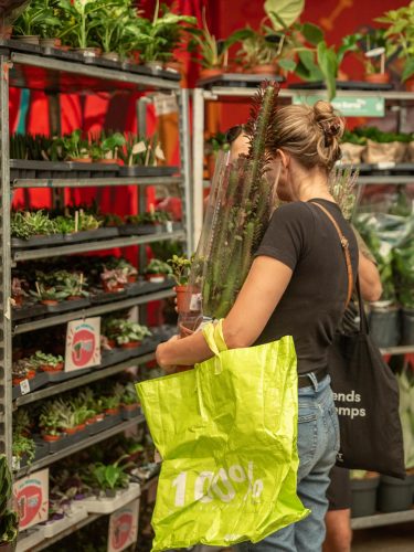 vente plantes