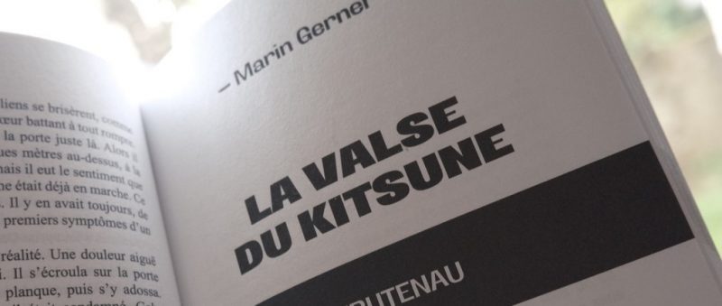 Strasbourg Noire, recueil de nouvelles – La Nuée Bleue