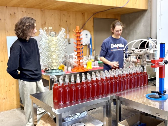 Zefir Boisson Zefir Boisson IMG_8565 3