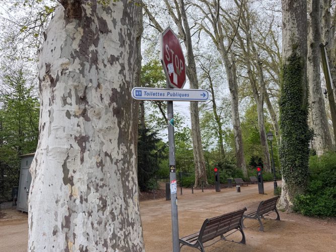 toilettes publiques orangerie