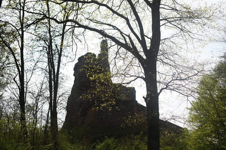 Château de Fleckenstein Lembach (12)