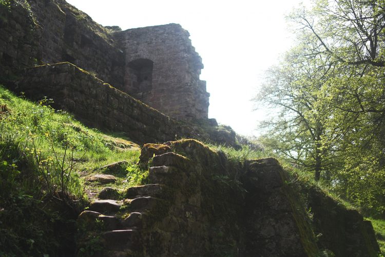 Château de Fleckenstein Lembach (15)