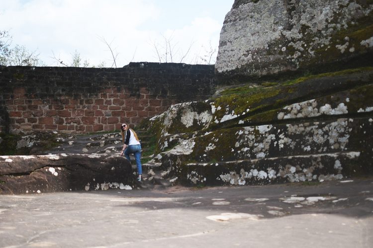 Château de Fleckenstein Lembach (19)