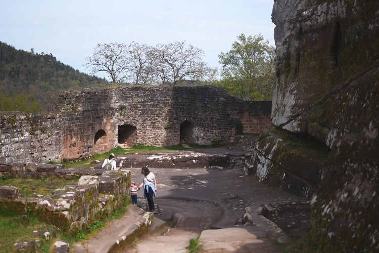 Château de Fleckenstein Lembach (23)