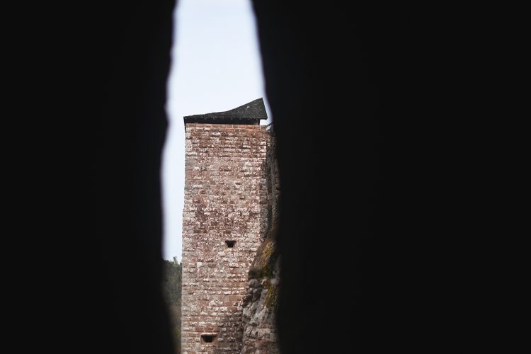 Château de Fleckenstein Lembach (29)
