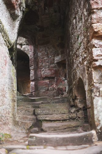Château de Fleckenstein Lembach (40)