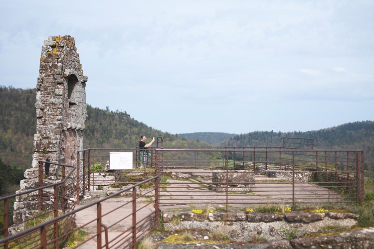 Château de Fleckenstein Lembach (46)