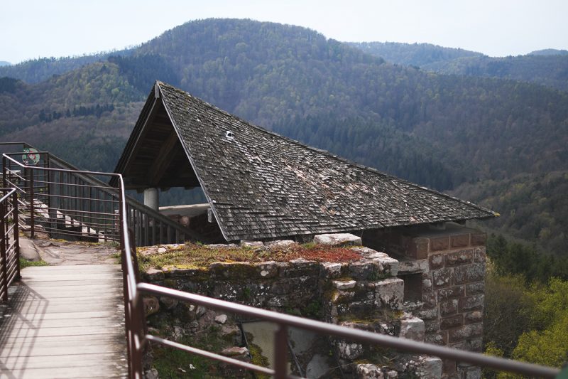 Château de Fleckenstein Lembach (49)