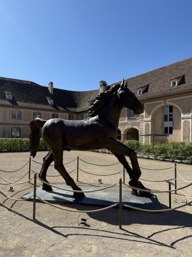 Les haras bastien IMG_9810 2