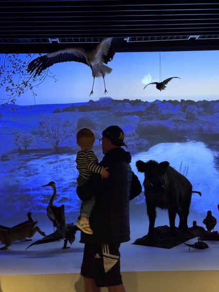 musée zoologique