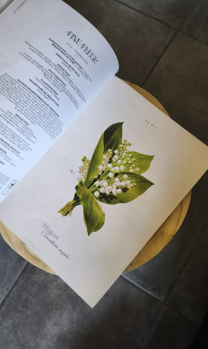 Fine fleur magazine Johanna Sarah Witz (11)