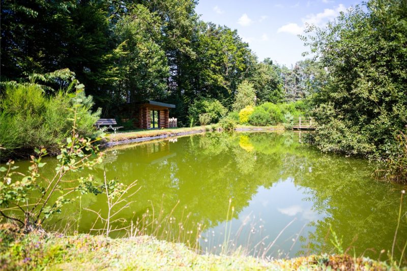 Cabane de l&rsquo;étang – Domaine de la Forestière – logements insolites