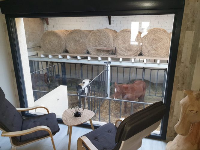 Hébergement insolite – Ecurie Equi-Lodges – Lorraine