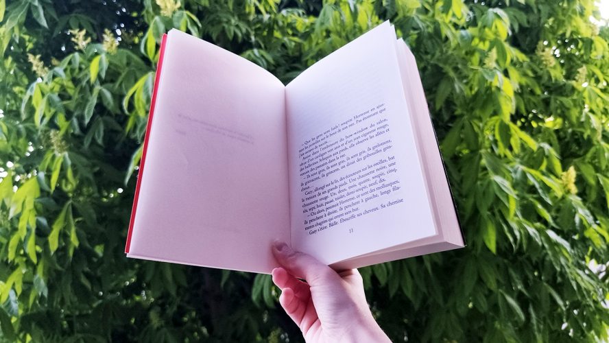 parc schulmeister lecture livre