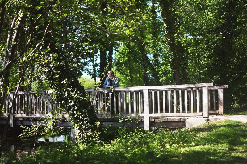 Parc Schulmeister meinau (22) pont arbre
