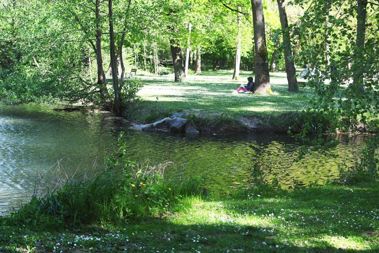 Parc Schulmeister meinau (31) arbre étang lecture