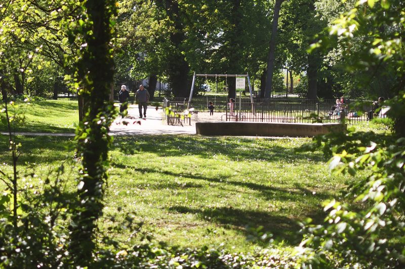Parc Schulmeister meinau (46) balançoise verdure arbre végétal