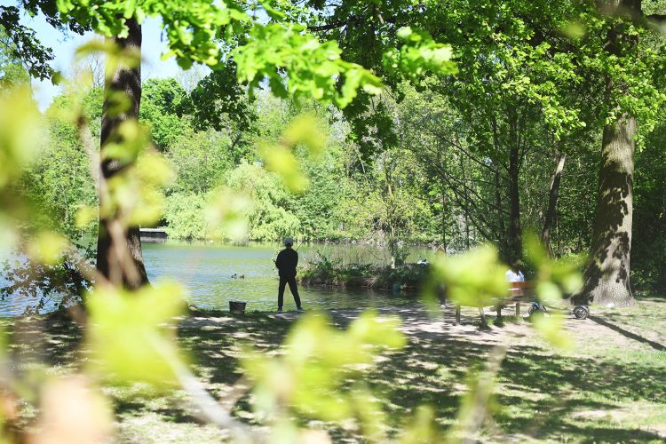 Parc Schulmeister meinau (9) pêche