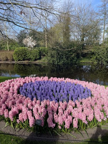 Tulipes Keukenhof