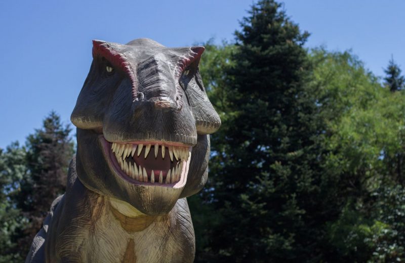 À la découverte des dinosaures