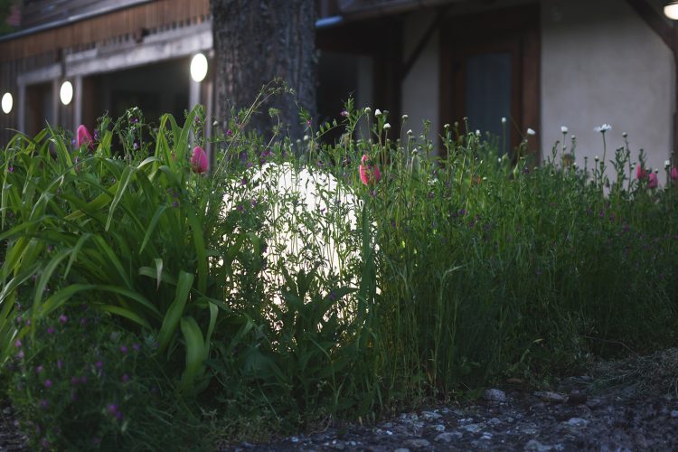 Cabanes du Nideck Oberhaslach gîte hôtel tourisme (91)