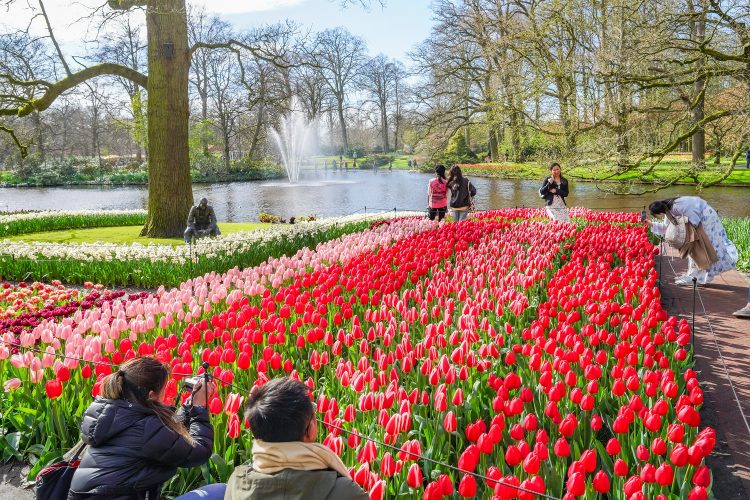 parc du Keukenhof