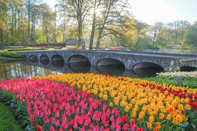 parc du Keukenhof