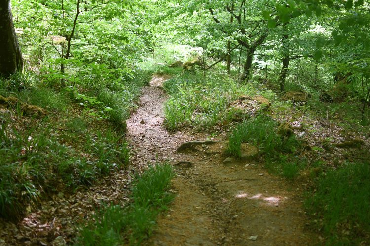 Randonnée Oberhaslach sentier des géants sculptures vosges forêt (30)
