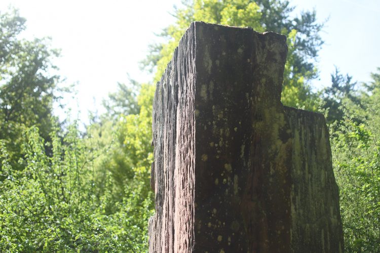Alfi Vivern Le portique des géants Randonnée Oberhaslach sentier des géants sculptures vosges forêt (51)