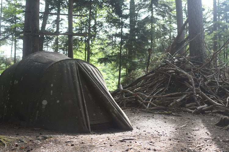 Kim de Ruysscher Randonnée Oberhaslach sentier des géants sculptures vosges forêt (53)