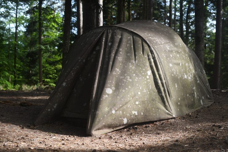 Kim de Ruysscher Randonnée Oberhaslach sentier des géants sculptures vosges forêt (54)