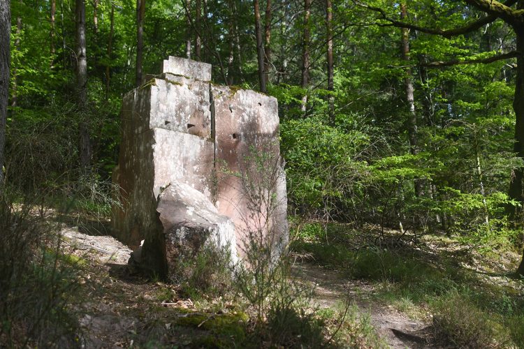 Gerardo Arribas le château égyptien de la poupée de la fille du géant Randonnée Oberhaslach sentier des géants sculptures vosges forêt (55)