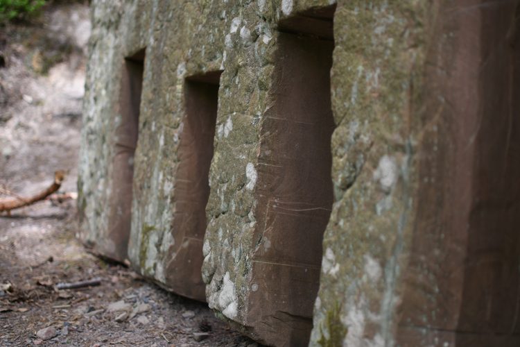Ivan Bon Elephant Comb Randonnée Oberhaslach sentier des géants sculptures vosges forêt (62)