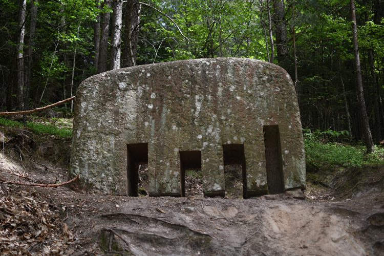 Ivan Bon Elephant Comb Randonnée Oberhaslach sentier des géants sculptures vosges forêt (63)