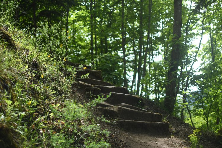 Randonnée Oberhaslach sentier des géants sculptures vosges forêt ruines château de hohenbourg (50)