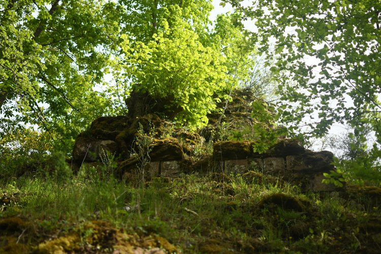 Randonnée Oberhaslach sentier des géants sculptures vosges forêt ruines château de hohenbourg (51)