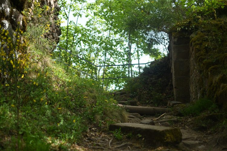 Randonnée Oberhaslach sentier des géants sculptures vosges forêt ruines château de hohenbourg (52)