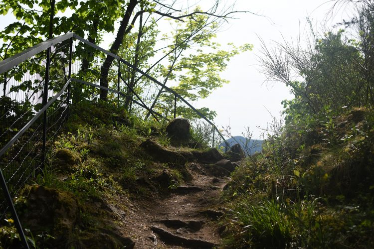 Randonnée Oberhaslach sentier des géants sculptures vosges forêt ruines château de hohenbourg (55)