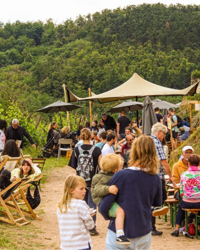 Vins d&rsquo;Alsace + Tournée des Terroirs