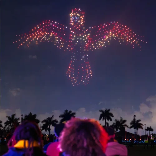 drones harry potter 2