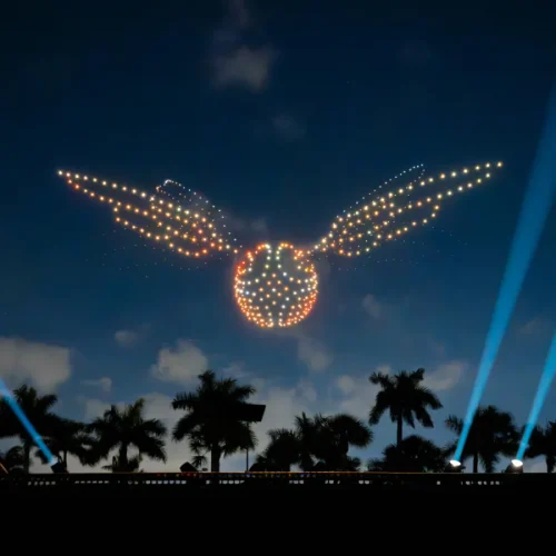 drones harry potter4