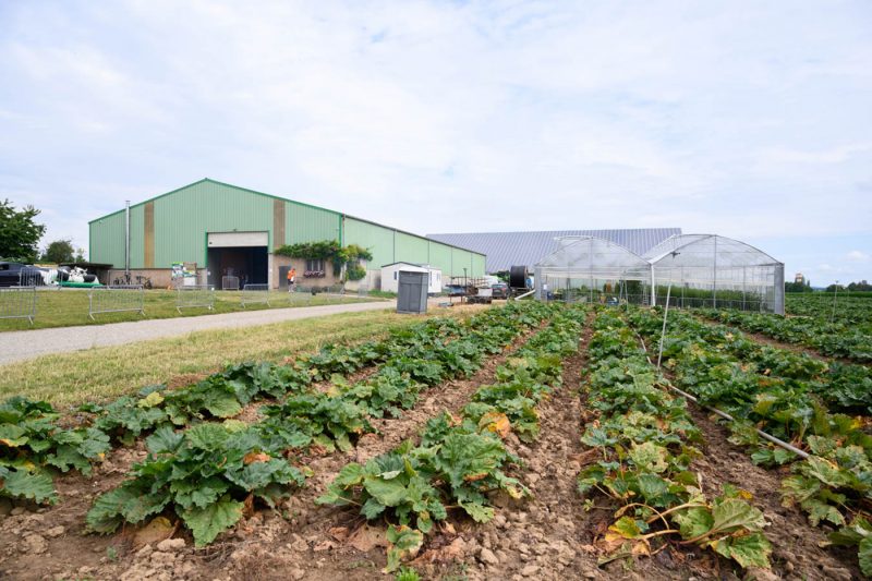 Rendez-vous de l&rsquo;alimentation (4) ferme
