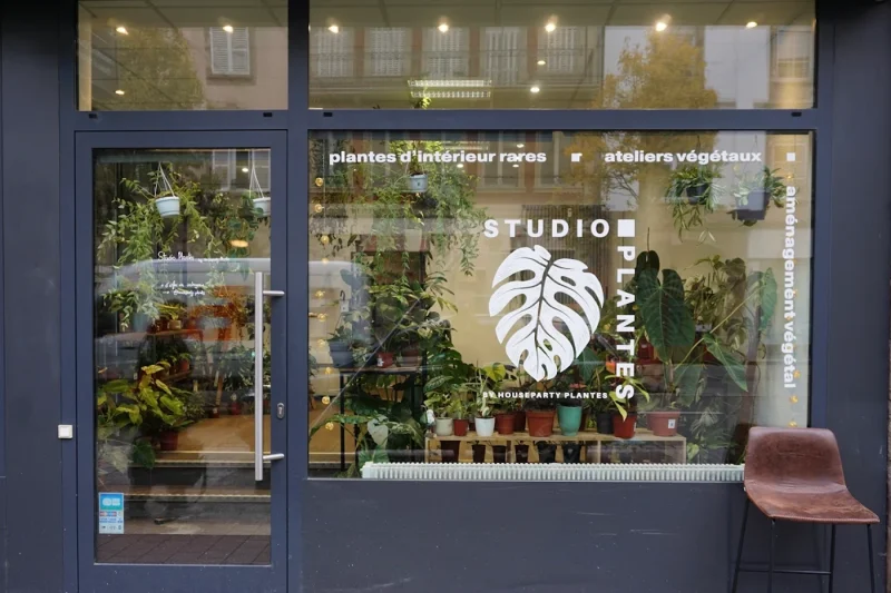 Studio Plante (1)