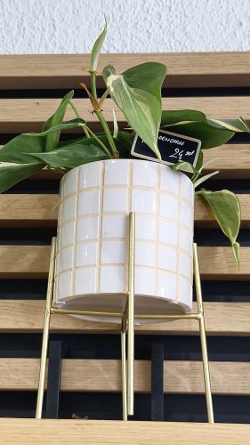 Studio Plante (33)