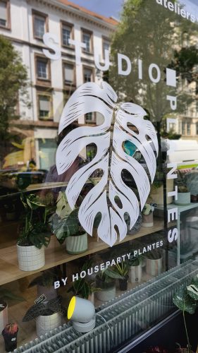 Studio Plante (41)