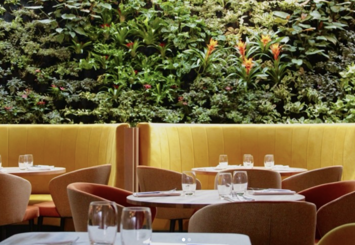 Jardin de l&rsquo;orangerie (2)