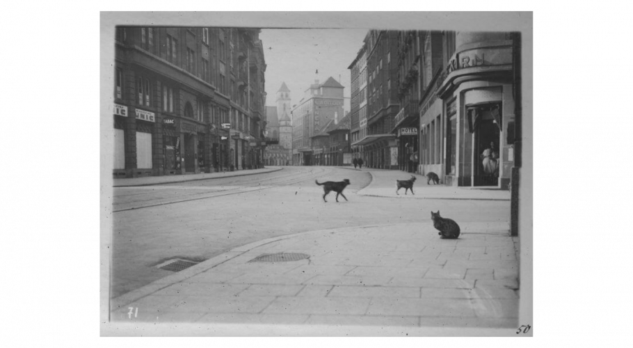 Rue du 22 novembre vide, évacuation 1939